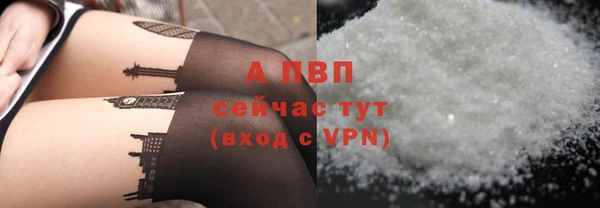 ПСИЛОЦИБИНОВЫЕ ГРИБЫ Приозерск