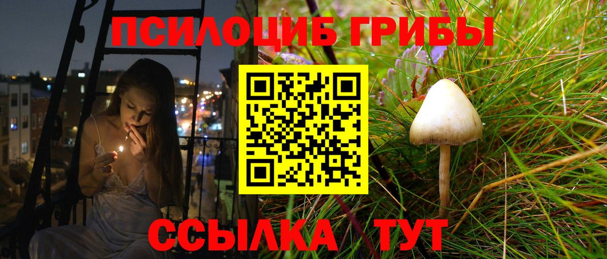 Галлюциногенные грибы мухоморы  Вход с VPN  Псилоцибиновые грибы мицелий  Ялуторовск 