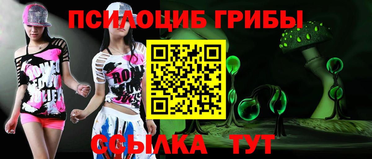 Псилоцибиновые грибы мицелий Ялуторовск